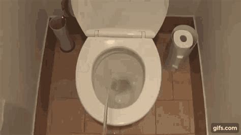 bathroom anal gif|Relevance Anal Bathroom Gifs